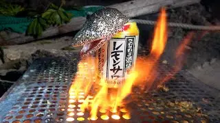 【男飯】拾った空き缶にウツボをぶち込んで煮る【福袋サバイバル2022in無人島＃6】