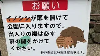 直播 live 7/10 散步🚶‍♂️岡本