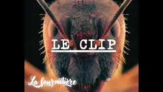 La Fourmilière
