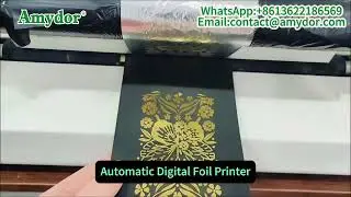 Amydor Auto Paper Feeding Hot Foil Printing Machine For Paper Foil！