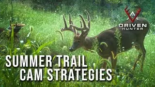 Summer Trail Camera Strategies | Pat's Tips in the Field