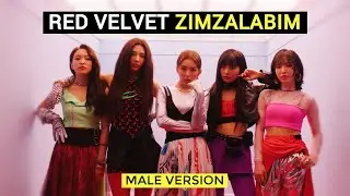 RED VELVET - ZIMZALABIM (MALE VERSION)
