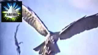 Water H2O Vortex 🌀 Free Energy Implosion Tom Brown Nature was my Teacher 👽 Viktor Schauberger 2