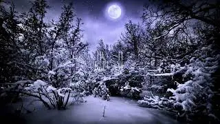Winter Snow ASMR ❄️ | Peaceful Snowfall Sounds for Sleep (1 Hour)