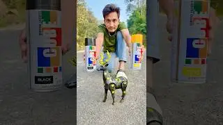 RC Deer🦌Colour Testing video🔥