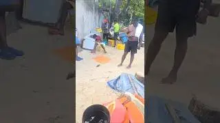 WTF GREEN EEL FISH 🐟  JAMAICA 🇯🇲
