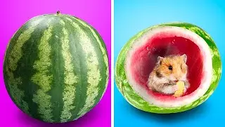 ¡AWW! LINDOS UTENSILIOS Y MANUALIDADES PARA LOS DUEÑOS DE MASCOTAS