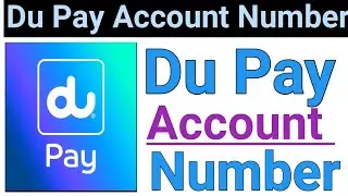 How to Check Du Pay Account Number | du Pay ibn Number