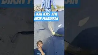mancing ikan di rawa #mancing #shorts #fypシ