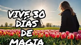 Verano Holand&eacute;s: La Aventura Que Cambi&oacute; Mi Vida