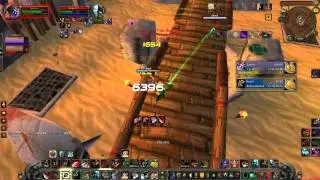WARRIOR/PALADIN vs Lock/Shaman