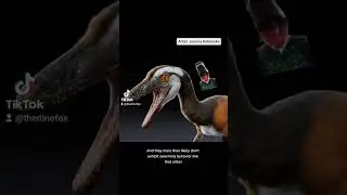 НАСТОЯЩАЯ КОМПАНИЯ