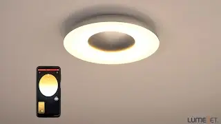 Philips Hue Still White Ambiance LED ceiling lamp, silver + DIM Switch
