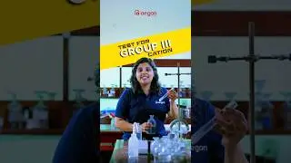 Identification Test for Group 3 Cation | Plus Two Chemistry Practicals | Aegon