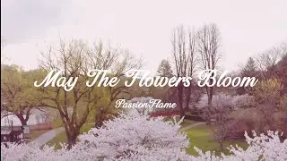 May the flowers bloom(Official MTV) - Passion Flame
