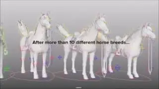 Last day at Star Stable