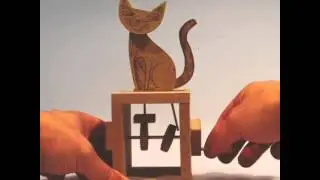 cat automata