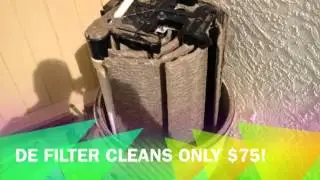 An Introduction to Pink Dolphin Pool Care of Glendale, Arizona