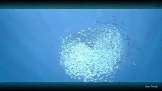 ABZU Quick Meditation