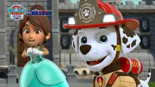 Marshall Puts Out the Castle Fire | PAW Patrol: To The Rescue | Cartoons for Kids