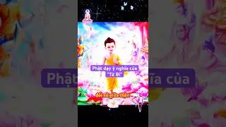 &Yacute; nghĩa của &ldquo; Từ Bi&rdquo; l&agrave; g&igrave; 🙏 #loiphatday #tamlinh #chanhtamdochungsanh