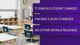 Student charged for bringing gun to school in Eden