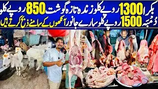 Bakra 1300 Kg | Fresh Meat 850 Kg | Dumba 1500 Kg | Apnai Samnai Zubah Karwain |Wholesale Cheap Meat