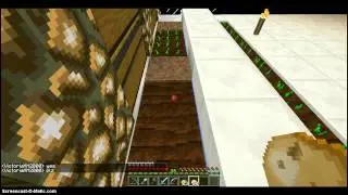 2 Video