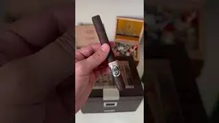 🌞 SMOKING A DELICIOUS BLACK SWAN OLIVA CIGAR ON A SUNNY DAY! 🔥🌞🔗 LINK IN DESCRIPTION 🔗 #cigar #asmr
