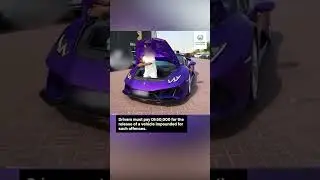 Dubai Police seize two cars over 'reckless stunts'