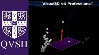 Kinematics for Dogs - Objective Measurement of Locomotion and Gait