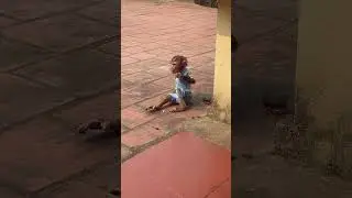 baby monkey sitting relaxing sunbathing