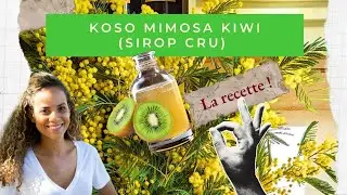 recette koso mimosa kiwi recette | sirop cru de fleur et fruits pour l'hiver