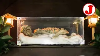Неизвестное существо? Мумия 