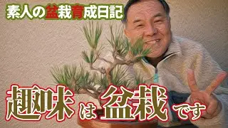 趣味は盆栽です