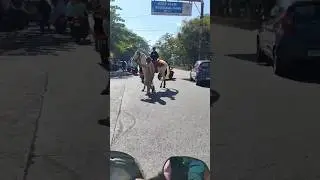 short video you tube short you tube video#shorts #shortsfeed #indain_xyz #love #funny #song #nature