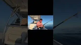 Catching Our Biggest Amberjack Ever! #biggestcatch  #fishingsuccess  #epicfishing