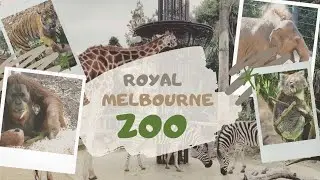 Royal Melbourne Zoo | Melbourne Hayvanat Bah&ccedil;esi