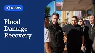 Floods damage at least 10,000 properties on Mid North Coast | ABC NEWS