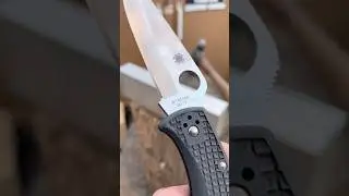 This one surprised me #shorts #knifestuffwedo #knifetest #spydercoknives