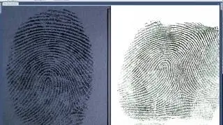 Basic AFIS Search - The Basics