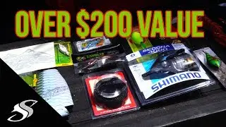 25k Giveaway | Over $200 Value | Salty Scales