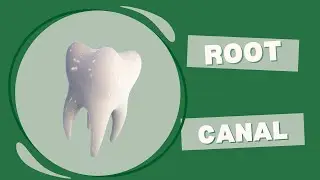 Infected Root Canal?  See A Biological Dentist!