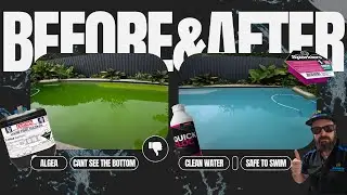 Satisfying Green Pool Clean - Before & After