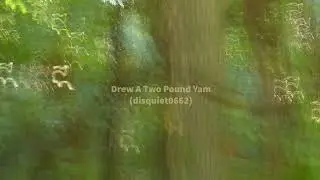 Drew A Two Pound Yam  (disquiet0662)