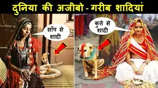 People Who Married To The Weirdest Things | Unusual Love & Marriage #viral