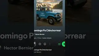 Domingo Pa Chinchorrear #musica #playa #musicadepuertorico
