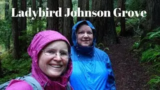 Redwood National Park - Lady Bird Johnson Grove - Park Travel Review