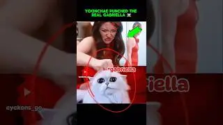 OMG Yoonchae punched the real gabriella ☠️🤣#katseye #gnarly #gabriella
