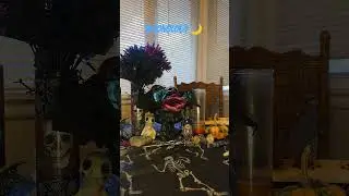 Лунология 🌙 11/5